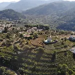 فيلة Anemomilos