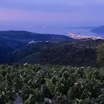 Anemomilos *