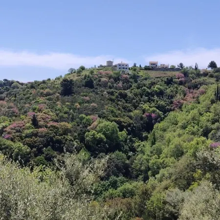 Anemomilos Willa Asprogerakata